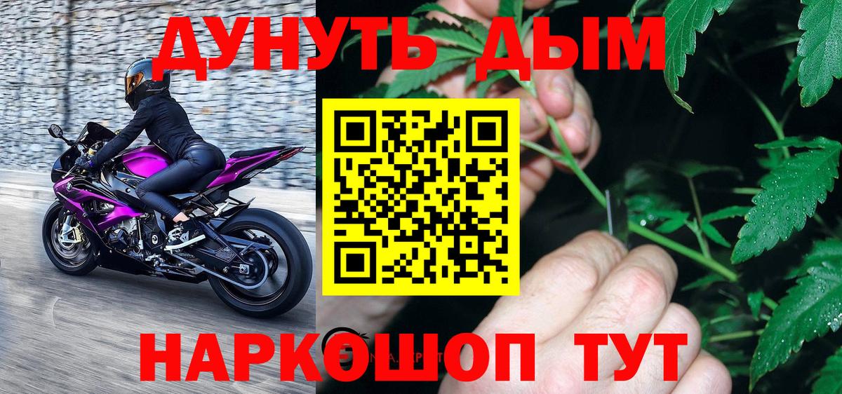Конопля сатива Алушта